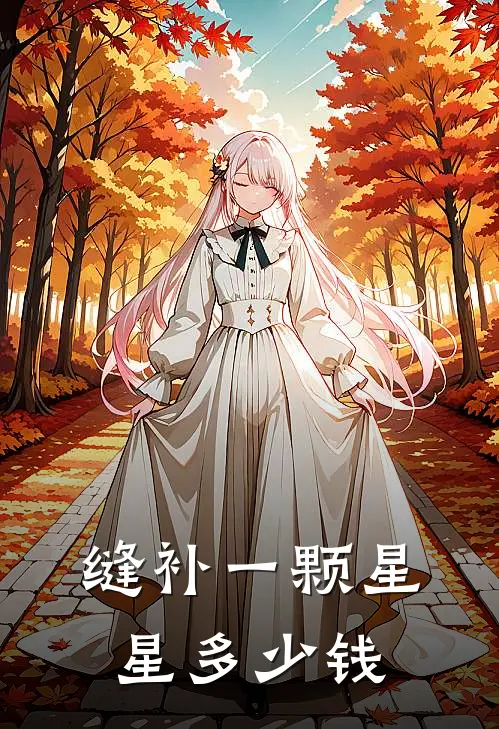 缝补一颗星星多少钱