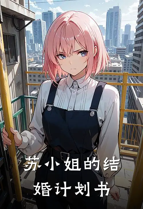苏小姐的结婚计划书